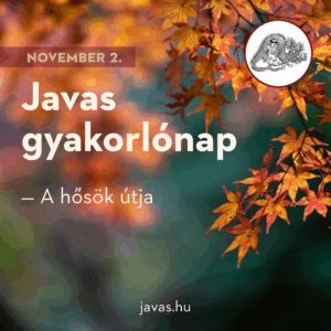 Javas gyakorlónap videó 2025.11.02.