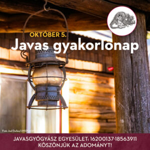 Javas gyakorlónap videó - 2025.10.05.