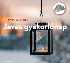Javas gyakorlónap videó - 2026.01.04.