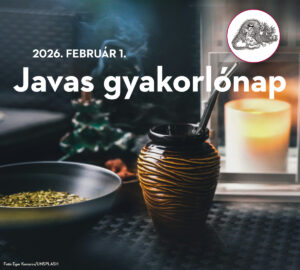 Javas gyakorlónap videó - 2026.02.01.